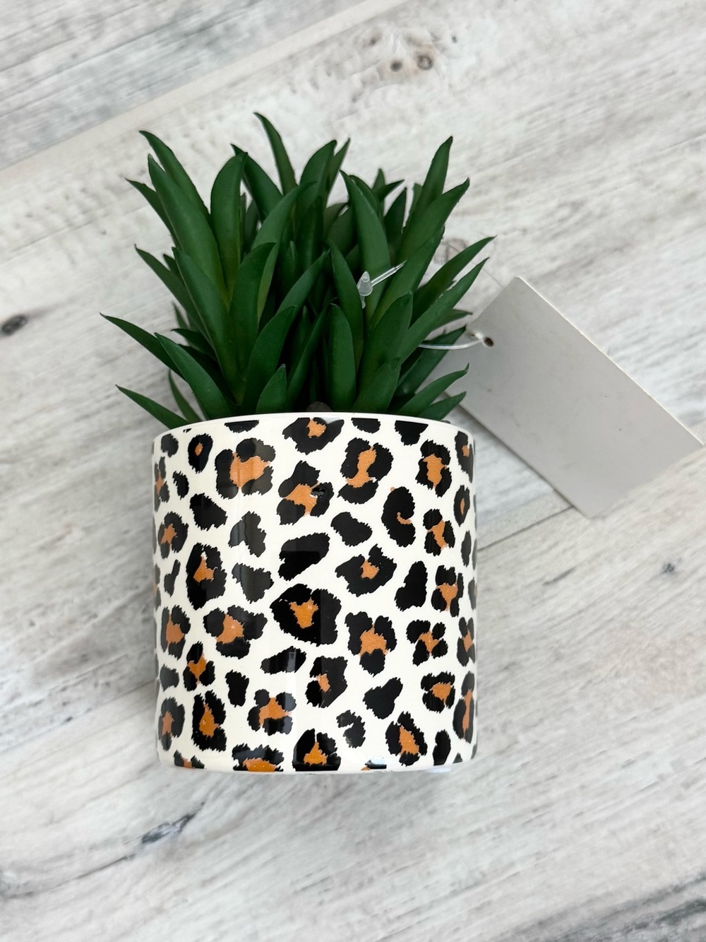 Mini Tabletop Leopard Artificial Succulent Plant